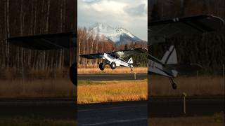 1981 Piper PA18150 N91144 takeoff aviation bushplane stol aircraft aopa alaska flying fly [upl. by Bonine]