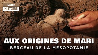 Retour en Mésopotamie  Les Origines de Mari Ville royale  Documentaire Archéologie  AMP [upl. by Odinevneib]