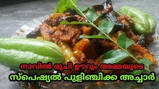 അമ്മയുടെ സ്പെഷ്യൽ പുളിഞ്ചിക്ക അച്ചാർKerala Style PulingiBilimbiIrumbampuli Pickle [upl. by Ailama377]