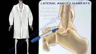 Ankle Ligaments Anatomy  Everything You Need To Know  Dr Nabil Ebraheim [upl. by Dib]