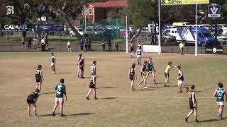 Bellarine FNL Reserves Grand Final Torquay v Geelong Amateur [upl. by Assenev819]