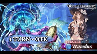 Granblue Fantasy Showcase  Raziel Summer  Wamdus HL  OTK 1 Turn [upl. by Bellina]