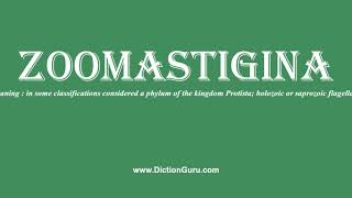 zoomastigina How to pronounce zoomastigina with Phonetic and Examples [upl. by Aisetra]