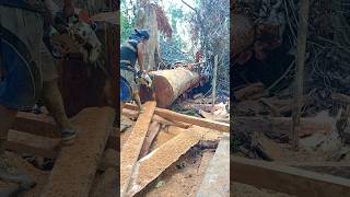 Kayu Merbau woodworking [upl. by Mihsah]