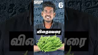 தமிழ்ல என்ன 2  தமிழ் அறிவோம் Part 2 tamilguru naveenbharathi tamilinformation [upl. by Macfadyn]