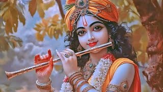 Karuna mayi❤️kripa mayi 🙏 मेरी दया मई राधे ll वृंदावन भाव barsana tranding vrindavan 05102024 [upl. by Aydin]