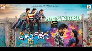 Pittagoda Teaser  Official  Vishwadev Rachakonda  Punarnavi Bhupalam  Pitta Goda trailer [upl. by Adlemi]