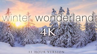 4K 11 Hours of Winter Wonderland  Calming Hang Drum Music for Relaxation Stress Relief UHD [upl. by Neidhardt897]