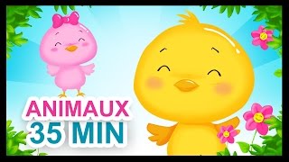 À la volette  35 de comptines sur les animaux pour les enfants  Titounis [upl. by Niwre80]