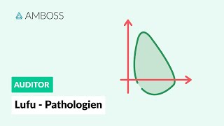 Lungenfunktion  Pathologien  AMBOSS Auditor [upl. by Sito]