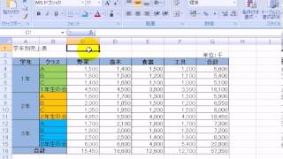 データ内容と書式設定71  エクセル2007Excel2007動画解説 [upl. by Lananna]