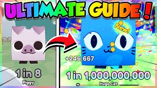 ULTIMATE GUIDE to PETS GO Roblox [upl. by Hera]