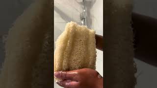 Say No To Plastic  Loofah sponge  Appia Luffa [upl. by Isidoro]