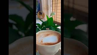 A cup of mocha coffee amp lovely peace lily mochacoffee coffee shorts reels [upl. by Norraa68]