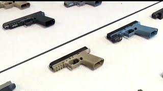 Florida lawmakers propose constitutional carry gun bill [upl. by Teleya]