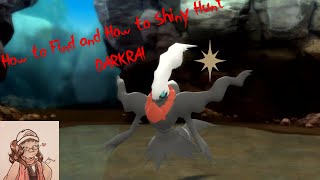 HOW TO FIND AND SHINY HUNT DARKRAI Pokemon BDSP [upl. by Nivre207]