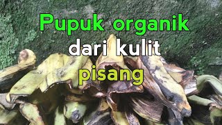 Pupuk organik dari kulit pisang [upl. by Akinar]