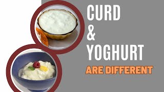 Curd amp Yoghurt are Different തൈരും യോ​ഗർട്ടും ഒന്നാണോ [upl. by Osher]