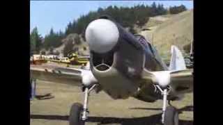 P 40 Kittyhawk display by Ray Hanna New Zealand 1998 [upl. by Hijoung]