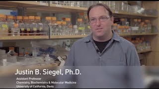 GeneArt It with DNA Strings Fragments a testimonial 1 [upl. by Aisekal]