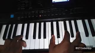 Makanaka Jesu on keyboard f sharp [upl. by Htebasyle238]