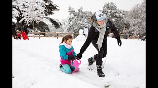 Neige et congé les petits Genevois sont ravis [upl. by Schug800]