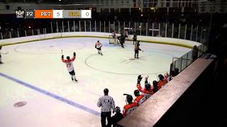 Highlights vs Bees 3 11 13 [upl. by Ymrots810]