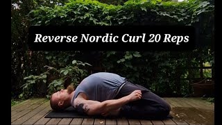 Reverse Nordic Curl 20 Reps x2 Speed [upl. by Tehc]