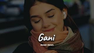 Gani slowed  reverb Akhil  new Punjabi song 2024  KL Lofi [upl. by Eberhard]