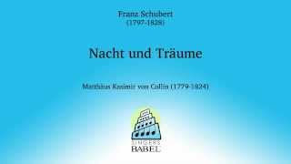 Nacht und Träume  Franz Schubert [upl. by Ayatnahs]