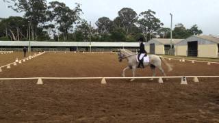 21 Novice Dressage Test [upl. by Guria]