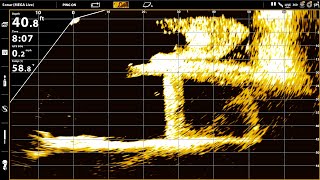 HUMMINBIRD MEGA LIVE  Full Review  What You Need To Know About Live Sonar [upl. by Borszcz]