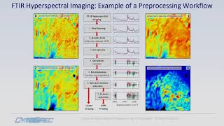 Tutorial Spectral and Spatial Preprocessing with CytoSpec [upl. by Illa]