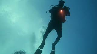 Pepper’s drift dive  Sept 24 2023  Trunkfish Creole Wrasse Beautiful Coral [upl. by Lorilyn]