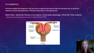 AampP II with McNew  The Urinary System NARRATED [upl. by Rilda]