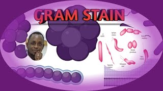 GRAM STAIN SWAHILI VERSION SBK [upl. by Htebizile]