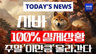 시바이누 코인  시바 100 실제상황 주말에 quot이만큼quot 올라갑니다 시바이누코인 코인 코인전망 시바이누 일론머스크 [upl. by Noland]