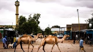 Sidii Xilka Looga Qaaday Maayirki Caynabo  Dhaqanadii Ku Cusba [upl. by Ahsila]