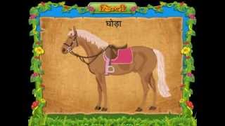 Animals Name In Hindi Wild amp Pet Animals [upl. by Lindell262]