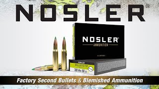 Nosler Factory Seconds Do They Shoot [upl. by Anialeh]