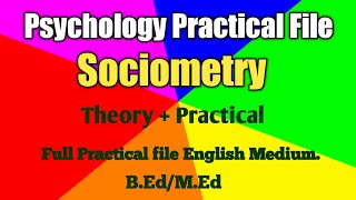 Psychology Practical File  Sociometry test  BEdMEd Practical file English Medium [upl. by Tamsky593]