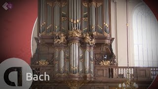 Bach Cantate BWV 4 amp BWV 80  Gesualdo Consort  Musica Amphion  Live Concert HD [upl. by Troth]