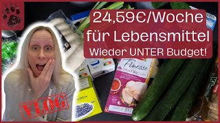 SPAREN extrem günstiger Wocheneinkauf 2459€ 🥳 PERFEKT foodhaul budgetplanung vlog minimalist [upl. by Reginald]