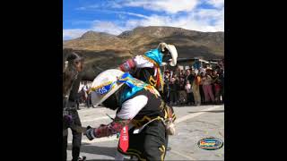 Los Amorosos Chutos de Carhuamayo  Con Cochas bajo  En muruhuay  Tarma [upl. by Rasaec325]