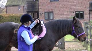 How to saddle your horse  PONY Magazine [upl. by Onileva235]