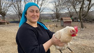 Etli Bulgur Köfte  Kabak Tarator  Tulumba Tatlısı  Yöresel Lezzetler👩🏻‍🍳🤠 [upl. by Any]