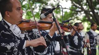 Mariachi Nuevo Curiel  Mi Lindo Nayarit Video en Vivo [upl. by Laurence]