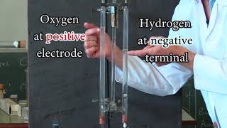 Electrolysis of water in a Hoffman apparatus [upl. by Annahgiel]