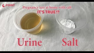 Pregnancy Test At Home  Home Pregnancy Test With Salt  Its True [upl. by Tirrag]