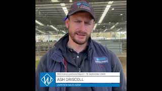 18 September AWN Livestock amp Property Wimmera Market Report with Ash Driscoll – Livestock Sales Agen [upl. by Atteuqnas]